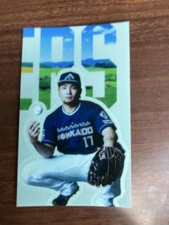 伊藤大海　WE LOVE HOKKAIDO 2025ステッカー