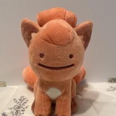 ポケットモンスター ポケモン へんしんメタモン ぬいぐるみ ロコン ポケモンセンター限定 へんしん！メタモン ロコン＆アローラ