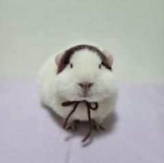 モルモット ぬいぐるみ ヘッドドレス イヤーマフ 耳あて 赤色