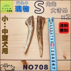 ⭐︎現物⭐︎鹿の角⭐︎S大きめ×2本セット⭐︎角先⭐︎犬の