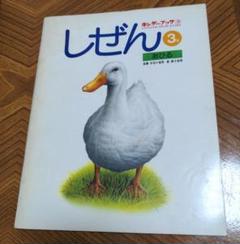 キンダーブック しぜん あひる 昭和53年3月号 フレーベル館 鳥