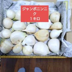 ジャンボニンニク箱こみ大中玉12キロ ジャンボニンニク箱こみ大中玉12キロ - メルカリ