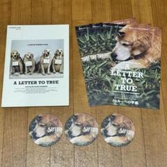トゥルーへの手紙 DVD＆ポストカード16枚セット DVD