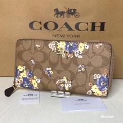 コーチ 長財布 パープル 花柄 【新品】