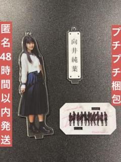 櫻坂46 向井純葉 ペンライトスタンド 商品詳細ページ | 櫻坂46 OFFICIAL GOODS STORE | 【通常配送