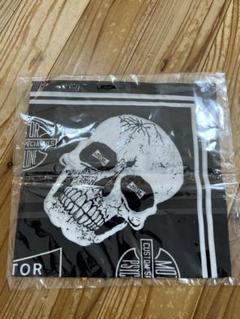 新品・未開封品 フリーホイーラーズ BUBOブーボBANDANAバンダナ 激レア 2025年最新】フリーホイーラーズ バンダナの人気アイテム - メルカリ