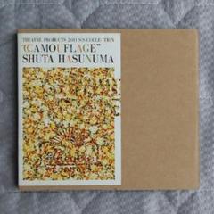 蓮沼執太 限定CD CAMOUFLAGE Shuta Hasunuma