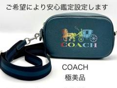 COACH コーチ ショルダーバッグ レインボー シグネチャー CA175