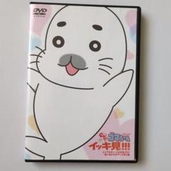 Go!Go!ゴマちゃん　イッキ見