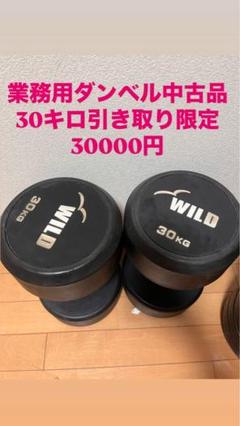 WILD 30kg ダンベル 中古品 WILD FIT ワイルドフィット ダンベルセット 30kg 赤ラバー / 筋