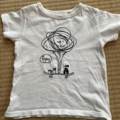 OCEAN & GROUND Tシャツ 100cm