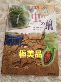 【極美品】虫の巣 田島秀治著 国土社