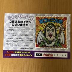 2025年最新】茎フェニ太郎の人気アイテム - メルカリ
