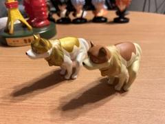 2024年最新】いきむ犬の人気アイテム - メルカリ