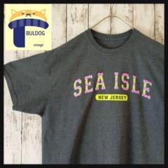 アメリカ古着　半袖Tシャツ　XL相当　プリントロゴ SEA ISLE　グレー杢調