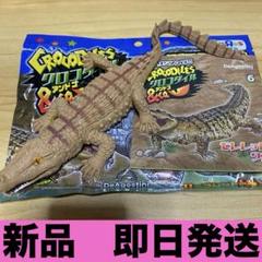 クロコダイル&co. アンドコ モレレットワニ - メルカリ