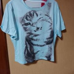 大きめネコ水色Tシャツ
