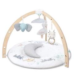 【新品未開封】aden + anais モンフルール ベビージム ピンク 人気スポー新作 エイデンアンドアネイ アクティビティジム モン