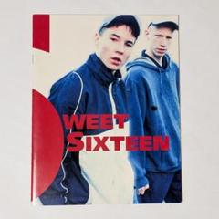 SWEET SIXTEEN 映画パンフレット