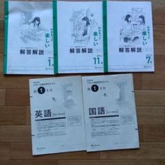 ベネッセ総合学力テスト 解答解説 高１