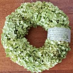 アナベルリース❁⃘*.゜ Φ27cm 183】ドライフラワーリース アナベルのラウンドリース ホワイト