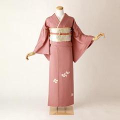 楽天市場】着物 夏 絽 付け下げの通販