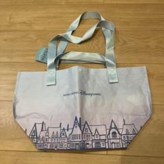 【香港ディズニー限定】刺繍入りトートバッグ｜アナと雪の女王 日本未入荷】アナ雪ダフフレミッキー香港ディズニー限定バッグ
