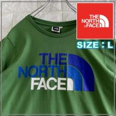 THE NORTH FACE 緑色 テック Tシャツ Lサイズ　4136