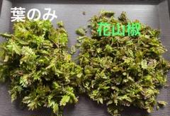庭の花山椒　100グラム　無農薬 本日　メルカリ便で発送 2025年最新】花山椒 100gの人気アイテム - メルカリ