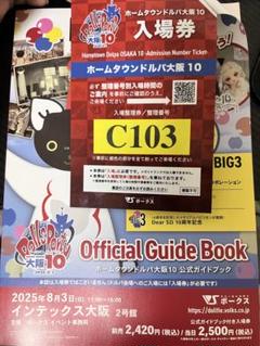 ホームタウンドルパ大阪10 入場券C ガイドブック
