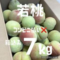 若桃加工用箱込み9キロ近く 2025年最新】山梨県産若桃の人気アイテム - メルカリ