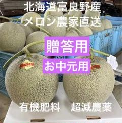 北海道 富良野 メロン赤肉1.4kg超✖︎2玉有機肥料 超減農薬農家
