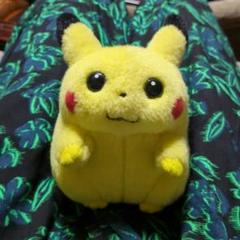 【毛並美品】ポケモン ピカチュウ ぬいぐるみ 初期 初代 TOMY タカラトミー ポケモン ピカチュウ ぬいぐるみ 初期 初代 TOMY タカラトミー