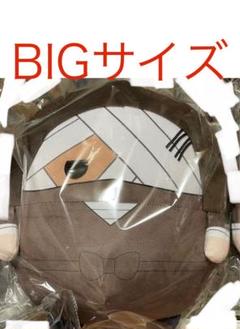 忍たま乱太郎 雑渡昆奈門 BIG ふわコロ ぬいぐるみ