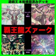 遊戯王 覇王龍ズァーク 本格構築済みデッキ EM オッドアイズ 魔術師 覇王眷竜