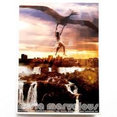 Misia marvelous ポスター 2001年 Misia marvelous ポスター 2001年 - メルカリ