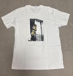 最安値　Supreme antihero Tシャツ L