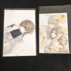 限定特典ヴァンパイア騎士 アニメイト イラストカード