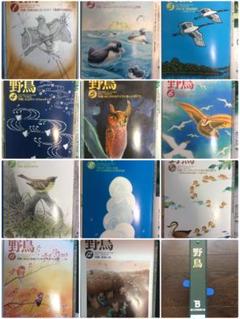 野鳥 2003年1〜12月号 全11冊 B5版ファイル綴 日本野鳥の会(29)