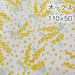 110×50 まミモザ 生成り オックス