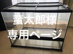 【おまけ付】 蛮太郎様専用【引き取り限定】GEXジェックス エキゾテラグラス レイアウト用品