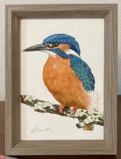 フウセントウワタ　水彩画 花と透明感を描いた水彩画7作品] 水彩画作品集 スライドショー