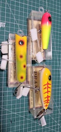 野*猫様 ズイール アマゾン プランク ジョイントテラー2個セット