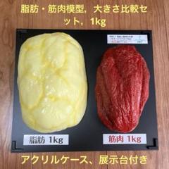 体脂肪模型3kg、2kg、1kg 計4点セット 体脂肪模型3kg、2kg、1kg 計4点セット