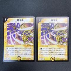 22840 碧玉草 エメラルドグラス 初期 2枚セットのサムネイル