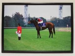 競馬.ヘヴンリーロマンス.パネル.JRA-60tg
