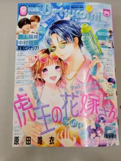 ベツコミ　まとめ売り デラックス Betsucomi (ベツコミ) 2023年2月号 (発売日2022年12
