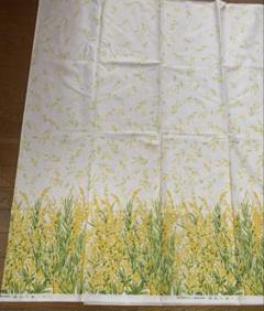 ミモザ　花柄　生地　ベージュ　 綿麻シーチング　生地 108cm×100cm