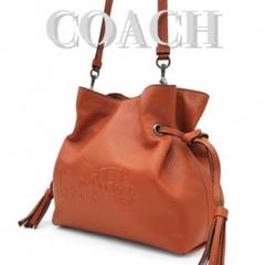 COACH ショルダーバッグ アンディ ホース＆キャリッジ 斜め掛け 巾着 茶
