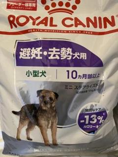 ロイヤルカナン　ミニステアライズド 8 キロ✕3袋セット ロイヤルカナン 避妊去勢犬用 小型犬用 ミニ ステアライズド